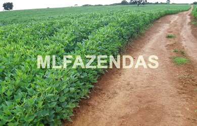 Imagem 2: Fazenda em Turvelândia MG 81,6 alqueires ou 197,47 ha, 80 aproveitável