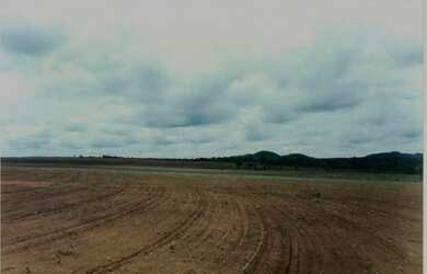 Imagem: A fazenda e está localizado em Ponte Alta do Tocantins, TO