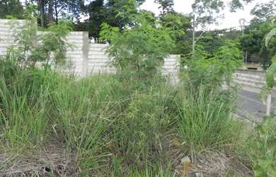 Imagem 3: Terreno à venda, 1000 m² por R$ 590.000,00 - Bandeirantes Pampulha -...