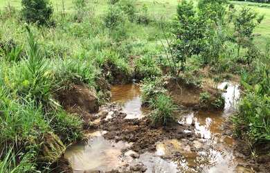 Imagem 10: Sítio 2 alqueires - Itatiba - Bragança Paulista