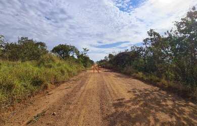 Imagem: O terreno possui 468m² de Área e está localizado em Mateus