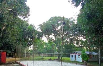 Imagem: A chácara possui 6000m² de Área e está localizado em Tarumã