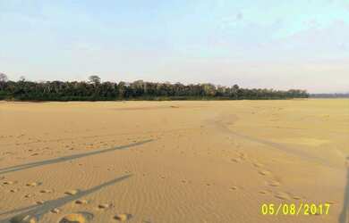 Imagem 16: Linda Ilha com 210 hectares Rio Madeira 63 km de porto velho