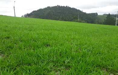 Imagem 10: Terreno 1629m² Village Paraibuna - condominio pronto p/Construir- Agenda