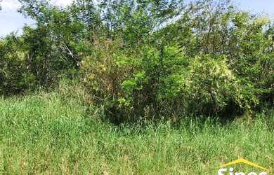 Imagem 6: Lote/Terreno para venda possui 370 metros quadrados em Lomba Grande -...