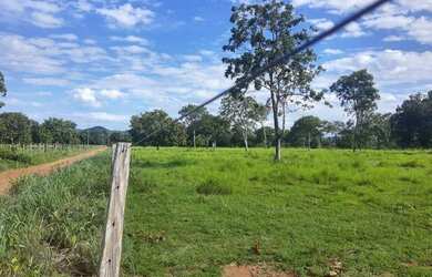 Imagem 6: .. Uma Excelente Fazenda 59 alqueires 42 km do município de Porto Nacional TO