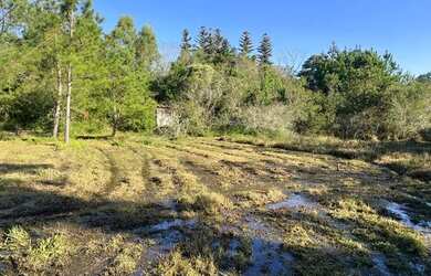 Imagem 16: Sítio Plano E Com Nascente Para Fazer Açude. ROB:630