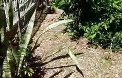 Imagem 2: Casa em Guarujá. Churrasqueira, 190m² de Área, 3 Vagas na garageme3...