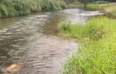 Imagem 1: Fazenda Manabuiu