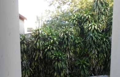 Imagem 12: Muriqui colado a praia - aceita financ - porteira fechada