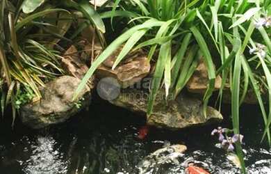 Imagem 16: Casa Alto Padrão à venda no Alphaville I - Salvador