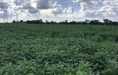 Imagem: A fazenda está localizado em Abadiânia, GO à venda por R$5.500.000