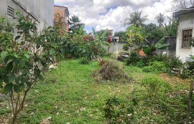 Imagem 3: Vende -se esse terreno. 