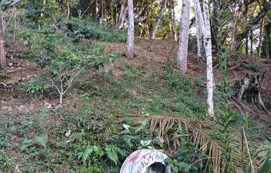 Imagem 11: 10 mil mts nas montanhas com lago 167 mil reais