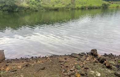 Imagem 4: Vende-se chácara. Piscinae1.800m² de Área