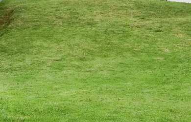 Imagem: O terreno possui 384m² de Área e está localizado em Umuarama