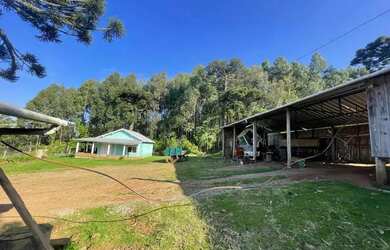 Imagem 4: Sitio - Bairro Serra Grande