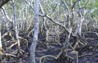 Imagem 16: Fazenda em Santa Maria Madalena 7.421 Hectares no Bioma Mata Atlântica...