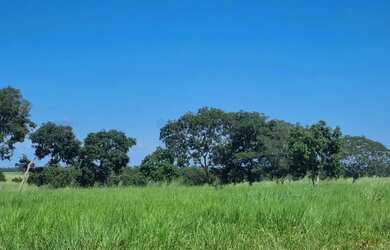 Imagem: A fazenda possui 250m² de Área e está localizado em Nobres