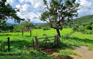 Imagem 14: Fazenda 34ha na rod 262 na região de Boa Vista da Serra, cidade Juatuba/MG