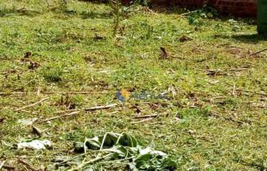 Imagem 11: Terreno à venda, 300 m² por R$ 310.000,00 - Jardim Catedral - Maringá/PR