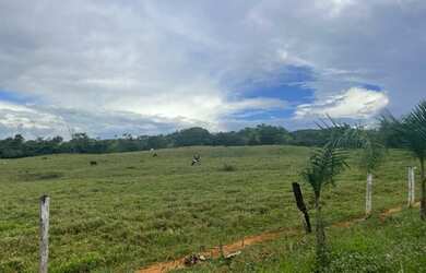 Imagem 14: Fazenda - Itapuranga GO. 