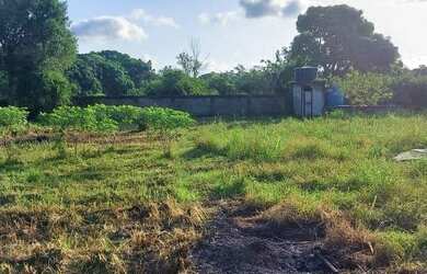 Imagem 4: Terreno para Venda em Rio de Janeiro, Ilha de Guaratiba