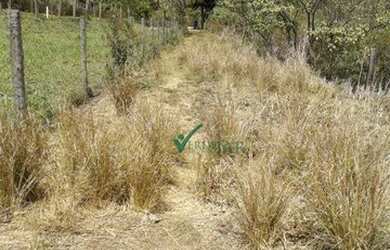 Imagem 7: Terreno à venda, 3474 m² por R$ 145.000,00 - Zona Rural - Taquaraçu...