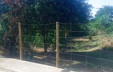 Imagem 5: Terreno em Sepetiba. 280m² de Área