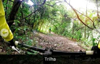 Imagem 11: Lote - Jardins Porto. 308m² de Área