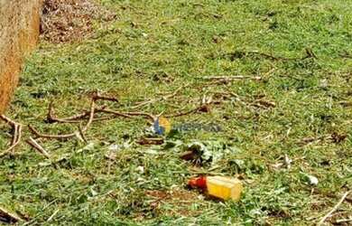 Imagem 12: Terreno à venda, 300 m² por R$ 310.000,00 - Jardim Catedral - Maringá/PR