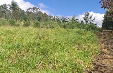 Imagem: O terreno possui 5929m² de Área e está localizado em Área