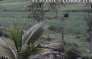 Imagem 8: venda fazenda Rio Novo MG