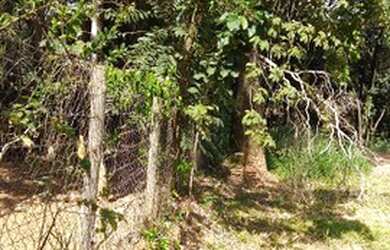 Imagem: O terreno possui 1450m² de Área e está localizado em São