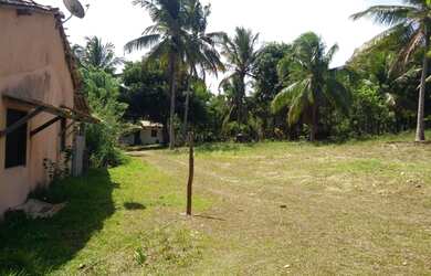 Imagem 14: Lote/Terreno para venda com 187 metros quadrados em RURAL - Entre Rios...