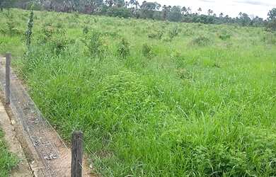 Imagem: A fazenda está localizado em Brasilândia de Minas, MG à venda