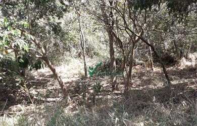 Imagem 10: Terreno à venda, 3474 m² por R$ 145.000,00 - Zona Rural - Taquaraçu...