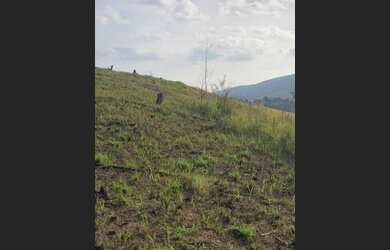 Imagem: O terreno possui 999m² de Área e está localizado em Centro