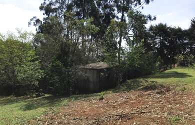 Imagem 13: Sítio 2 alqueires - Itatiba - Bragança Paulista