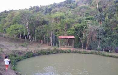 Imagem 8: Linda Chácara no Sul de MG