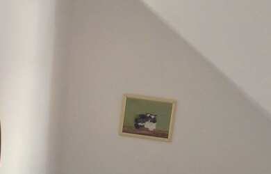 Imagem: A casa possui 3 Dormitórios, 2 Banheiros e está localizado