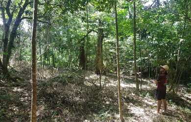 Imagem 10: Terreno - Atibaia. 1m² de Área