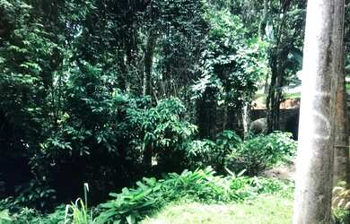 Imagem 9: Lote/Terreno para venda tem 1300 metros quadrados em Portogalo - Angra...