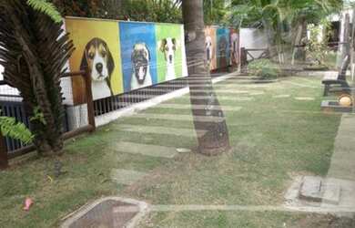 Imagem 10: Apartamento para venda tem 80 metros quadrados com 2 quartos em Candeal - Salvador - BA