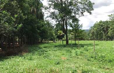 Imagem 7: Chácara 2 alqueires Município de Bela Vista Goias