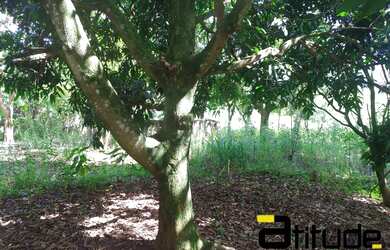 Imagem 1: Terreno a venda em Santana de Parnaíba - Cristal Park III