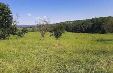 Imagem 3: .. Uma Excelente Fazenda 59 alqueires 42 km do município de Porto Nacional TO