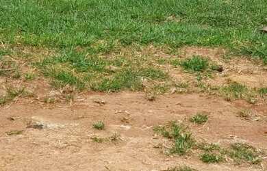 Imagem: O terreno possui 270m² de Área e está localizado em Sobradinho