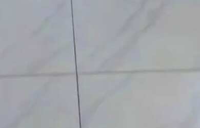 Imagem 9: Casa. 1.000m² de Área, 1 Banheiroe2 Dormitórios