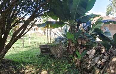 Imagem 10: terreno nivelado. 40m² de Área